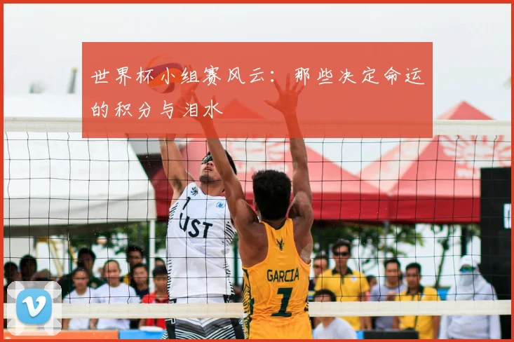 世界杯小组赛风云:那些决定命运的积分与泪水