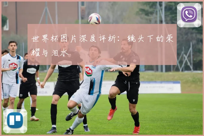 世界杯图片深度评析:镜头下的荣耀与泪水