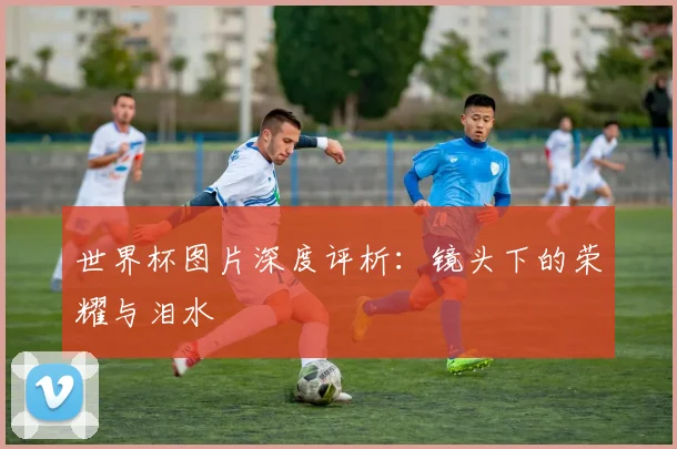 世界杯图片深度评析：镜头下的荣耀与泪水