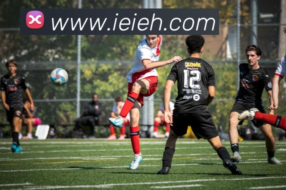 开云手机入口登录官网平台生态图