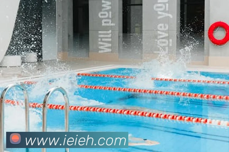 开云手机入口登录官网APP 封面图